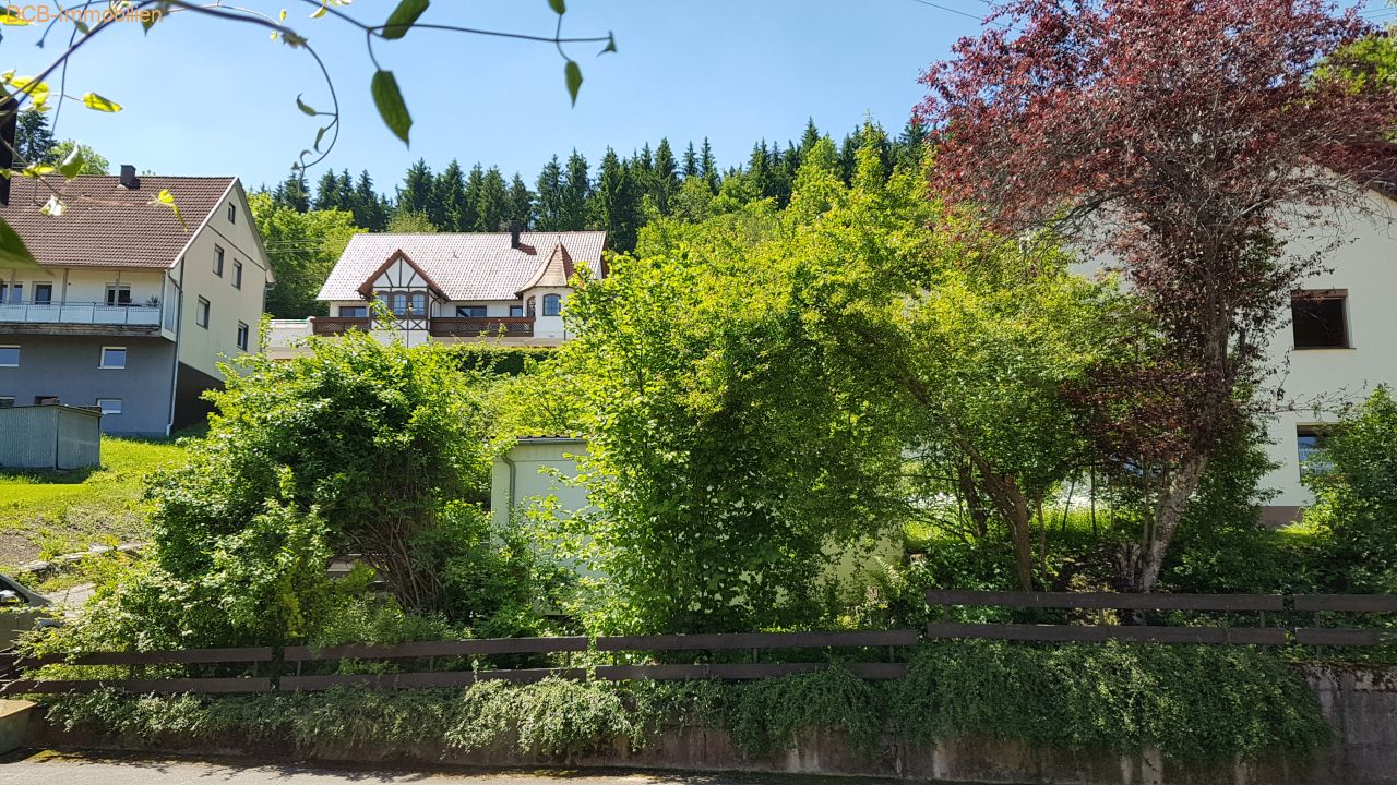 Sanierungsbedürftiges Haus mit Potenzial
