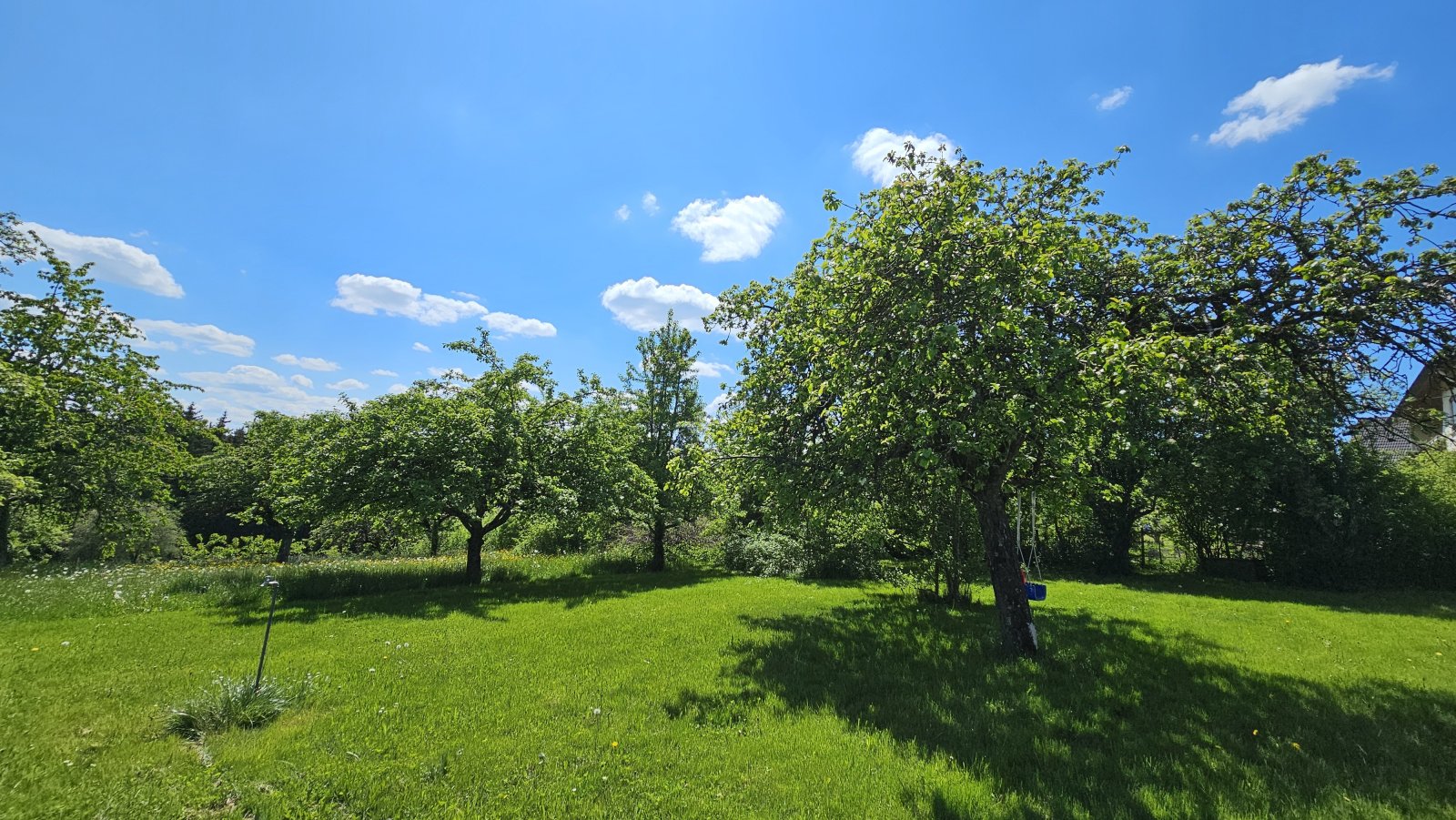 Ein großzügiges Haus auf einem weitläufigen Grundstück in einer idyllischen Lage
