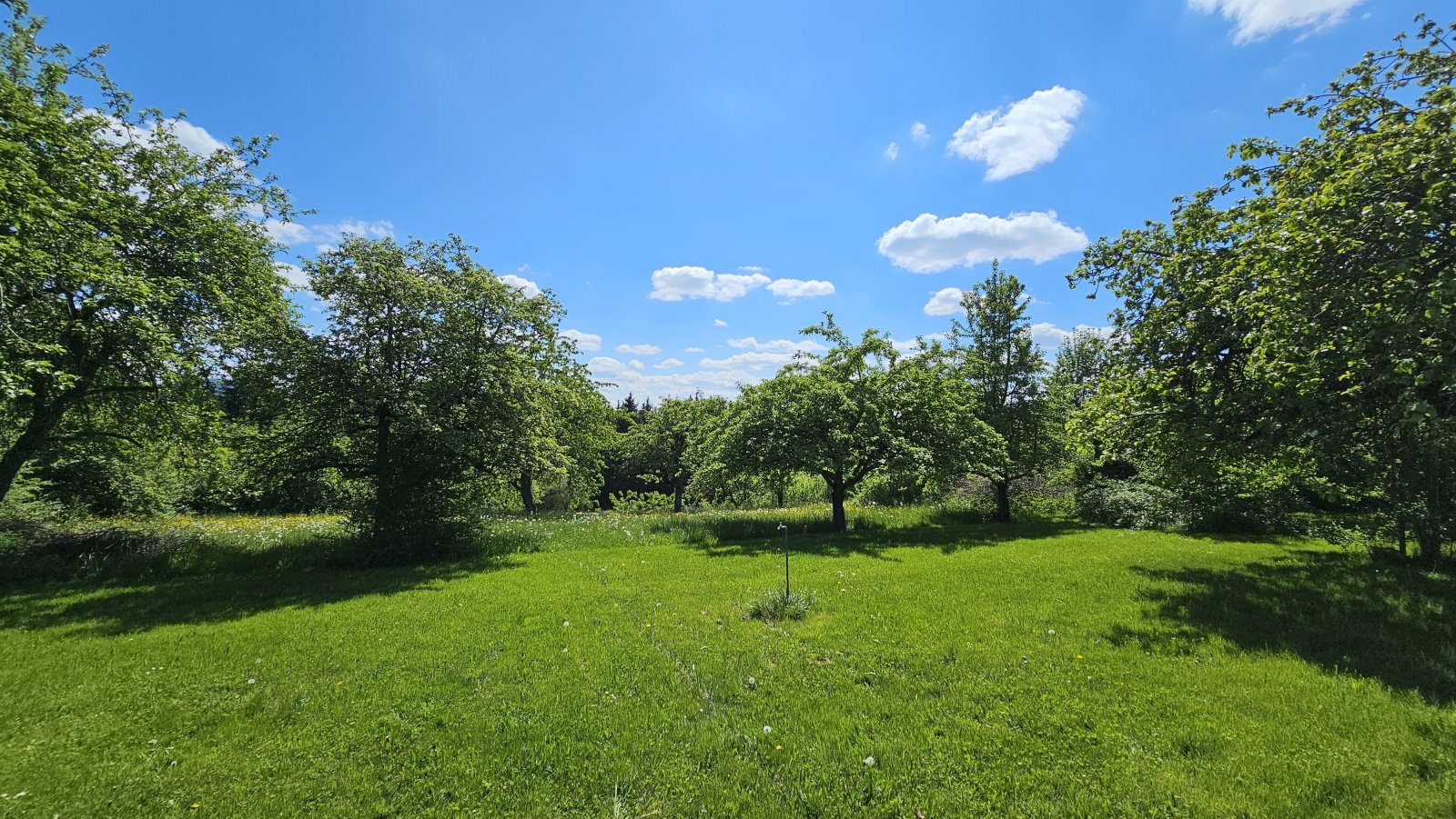 Ein großzügiges Haus auf einem weitläufigen Grundstück in einer idyllischen Lage