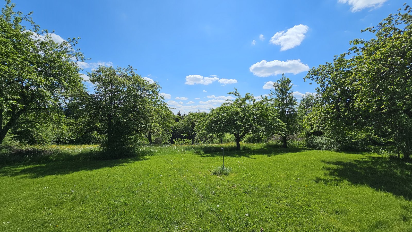 Ein großzügiges Haus auf einem weitläufigen Grundstück in einer idyllischen Lage
