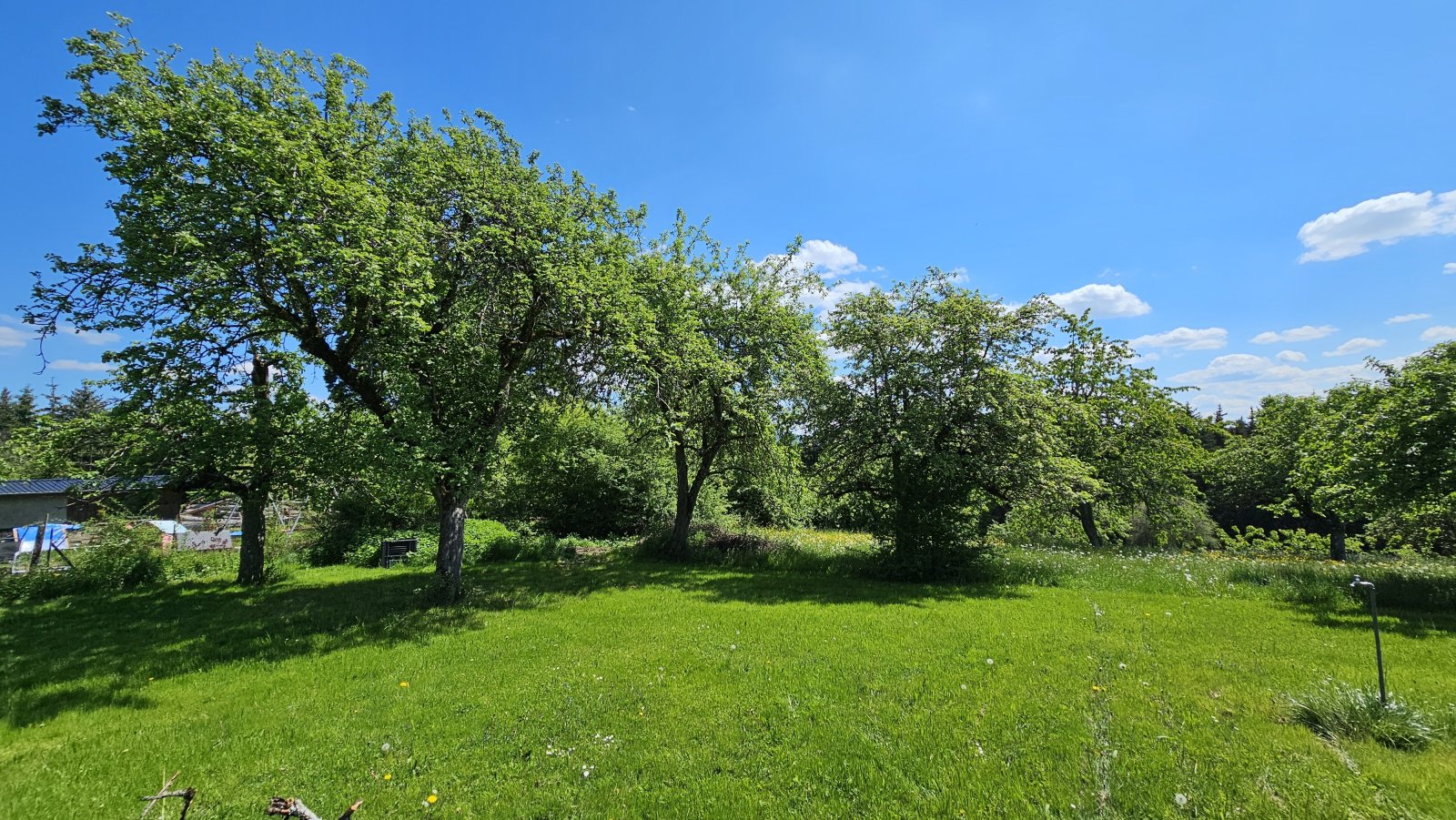 Ein großzügiges Haus auf einem weitläufigen Grundstück in einer idyllischen Lage