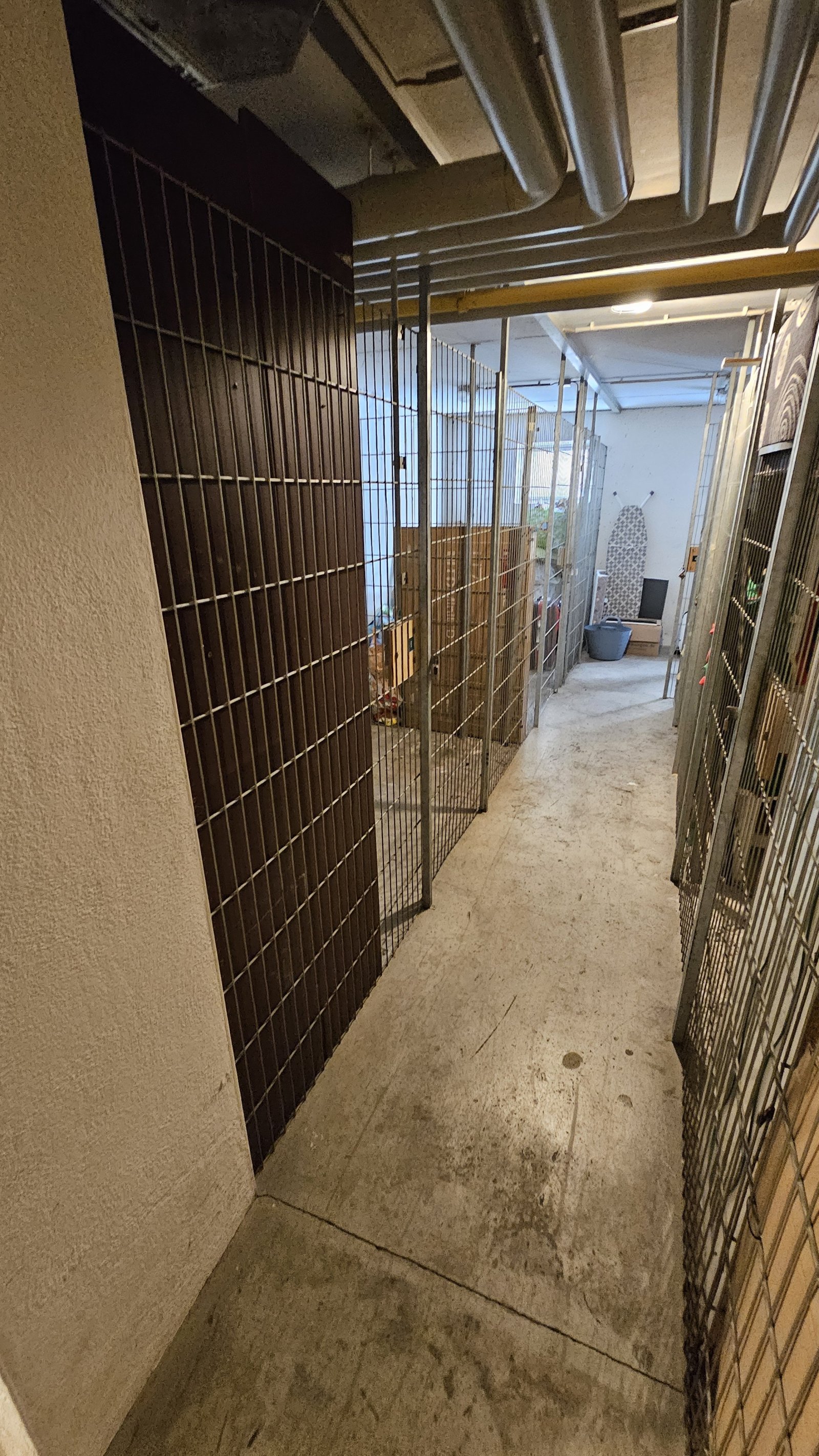 Helle, zentrale Wohnung – sofort bezugsfertig!