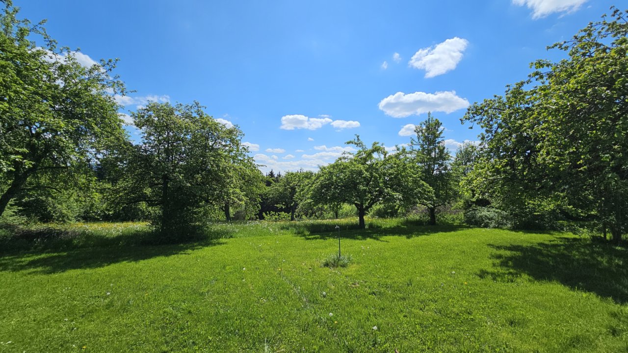 Garten Garten